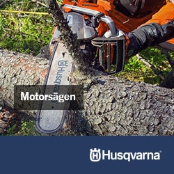 Motorsägen
